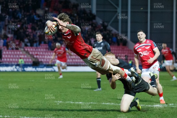 240126 - Scarlets v Ulster - United Rugby Championship - Ellis Mee of Scarlets goes over for the winning try