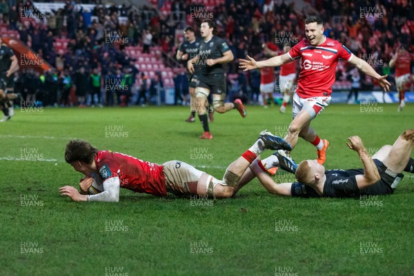240126 - Scarlets v Ulster - United Rugby Championship - Ellis Mee of Scarlets goes over for the winning try