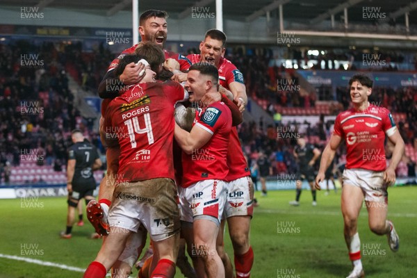 240126 - Scarlets v Ulster - United Rugby Championship - Scarlets players celebrate after Ellis Mee scores the winning try