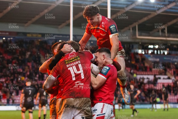240126 - Scarlets v Ulster - United Rugby Championship - Scarlets players celebrate after Ellis Mee scores the winning try