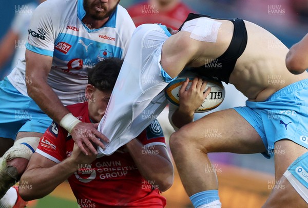 250426 - Scarlets v Vodacom Bulls - United Rugby Championship - David Kriel of Bulls has his jersey ripped off by Eddie James of Scarlets 