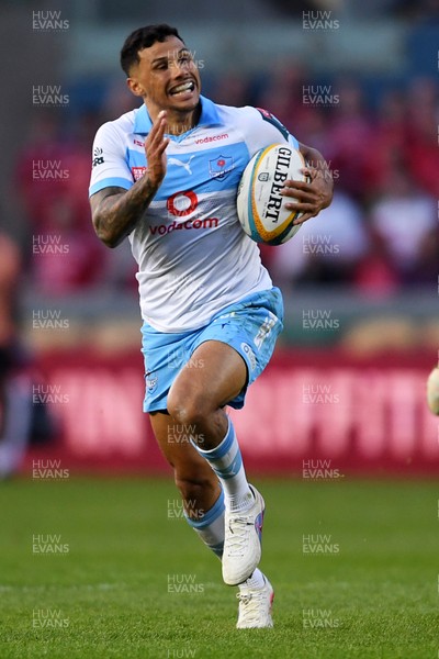 250426 - Scarlets v Vodacom Bulls - United Rugby Championship - Embrose Papier of Bulls