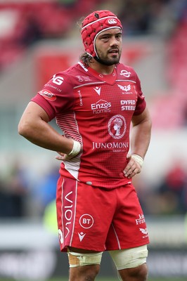 121019 - Scarlets v Zebre Rugby - Guinness PRO14 - Josh Macleod of Scarlets