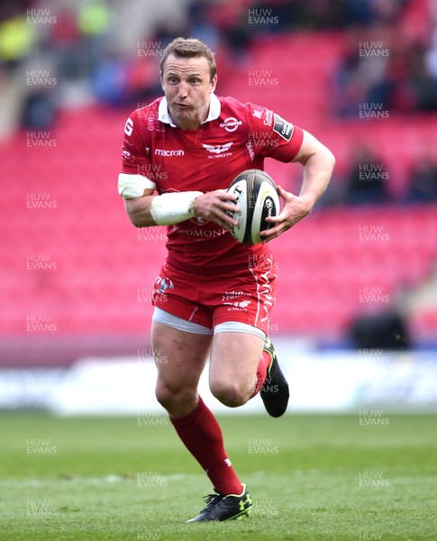 130419 - Scarlets v Zebre - Guinness PRO14 - Hadleigh Parkes of Scarlets runs in to score try