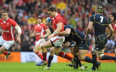 Scotland v Wales 090313