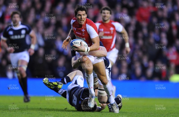 12.02.11 - Scotland v Wales - RBS Six Nations 2011 - James Hook of Wales. 