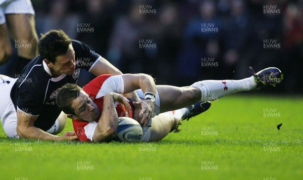 12.02.11 - Scotland v Wales... Wales Shane Williams scores try despte the attention of Nick De Luca. 