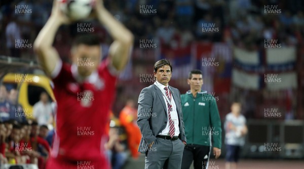 110617 Serbia v Wales Chris Coleman watches the game