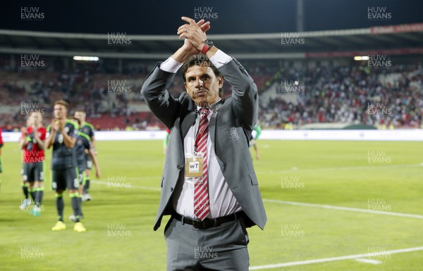 110617 Serbia v Wales Chris Coleman salutes the travelling fans