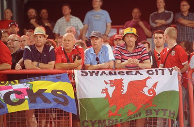 110912 - Serbia v Wales - 2014 World Cup Qualifier -Wales fans look dejected