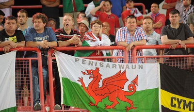 110912 - Serbia v Wales - 2014 World Cup Qualifier -Wales fans look dejected
