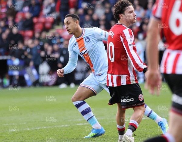 030426 - Sheffield United v Swansea City - Sky Bet Championship - Adam Idah of Swansea wheels away to celebrate after scoring the 2nd Swansea goal