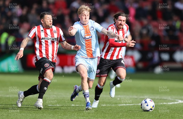 030426 - Sheffield United v Swansea City - Sky Bet Championship - Melker Widell of Swansea and Joe Rothwell of Sheffield United and Gustavo Hamer of Sheffield United