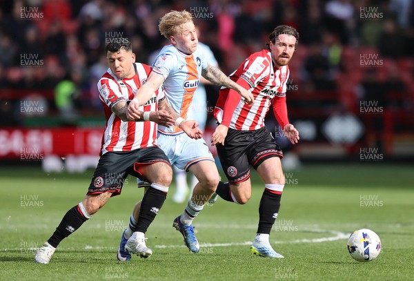 030426 - Sheffield United v Swansea City - Sky Bet Championship - Melker Widell of Swansea and Joe Rothwell of Sheffield United and Gustavo Hamer of Sheffield United