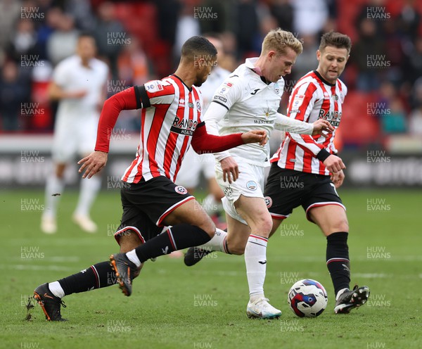 110223 - Sheffield United v Swansea City - Sky Bet Championship - Oli Cooper of Swansea and Max Lowe of Sheffield Utd and Oliver Norwood of Sheffield Utd