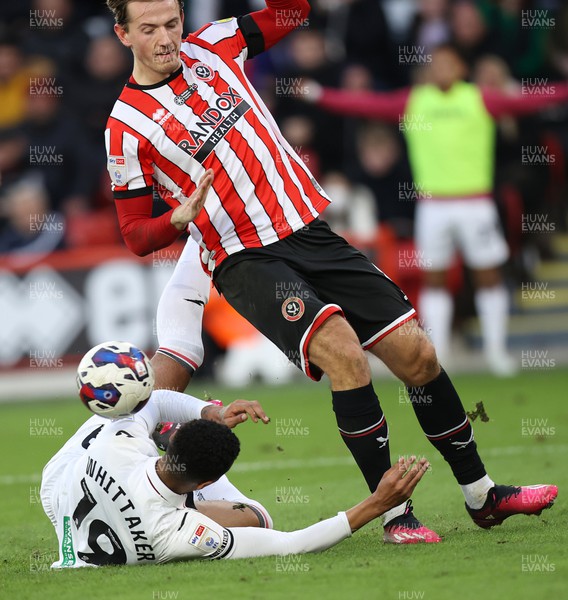 110223 - Sheffield United v Swansea City - Sky Bet Championship - Morgan Whittaker of Swansea goes down in the box courtesy of Sander Berge of Sheffield Utd but no penalty given