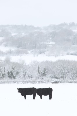 180113 - Snow in South Wales - Snowfalls in the countryside around Bridgend