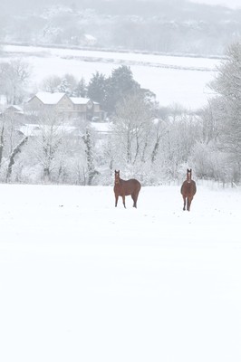 180113 - Snow in South Wales - Snowfalls in the countryside around Bridgend