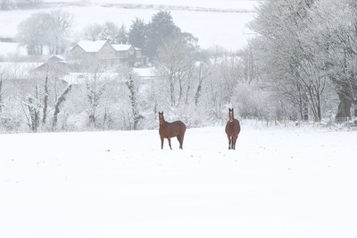 180113 - Snow in South Wales - Snowfalls in the countryside around Bridgend