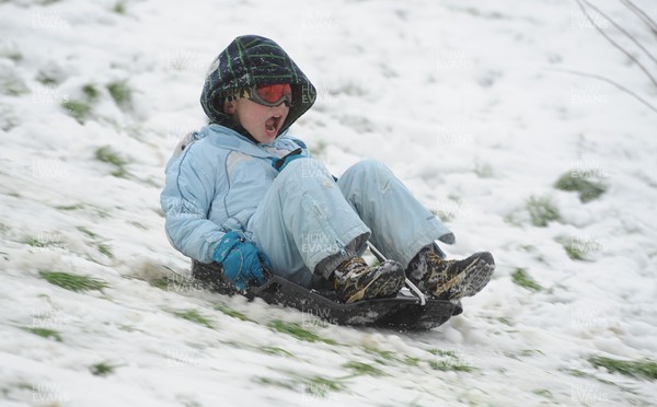 180113 - Heavy Snowfall in South Wales -Children and adults enjoy sledging in the snow in Penarth near Cardiff following heavy snowfall in South Wales