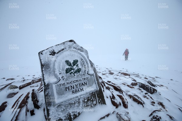 101297 - Snow in South Wales -  A walker approaches the highest point in southern Britain as she reaches the top of Pen y Fan, the highest peak in South Wales