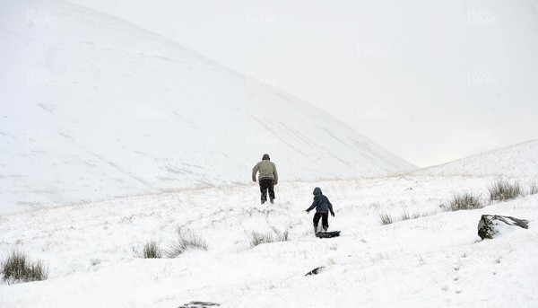 16.12.11.Snow, South Wales. Enjoying the snow at Storey Arms, Nr Brecon, south Wales. 