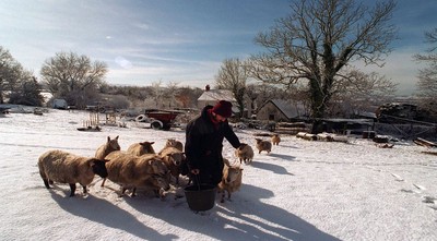 Snow Wales 030395