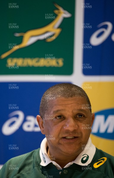 301117 - South Africa Rugby Team Announcement, Hilton Hotel, Cardiff - Springbok coach Allister Coetzee announces the South Africa team for the match against Wales
