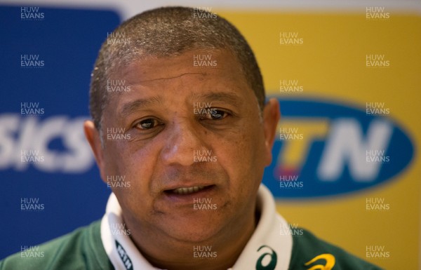 301117 - South Africa Rugby Team Announcement, Hilton Hotel, Cardiff - Springbok coach Allister Coetzee announces the South Africa team for the match against Wales