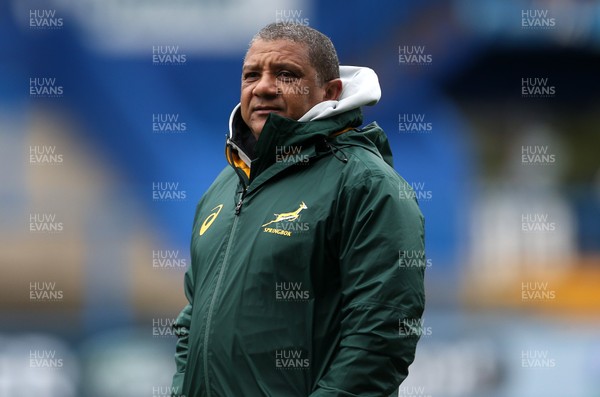 271117 - South Africa Rugby Training - Head Coach Allister Coetzee during training