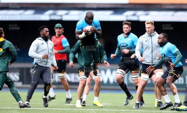 271117 - South Africa Rugby Training - Chiliboy Ralepelle during training