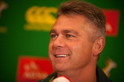 South Africa Team Announcement 061113