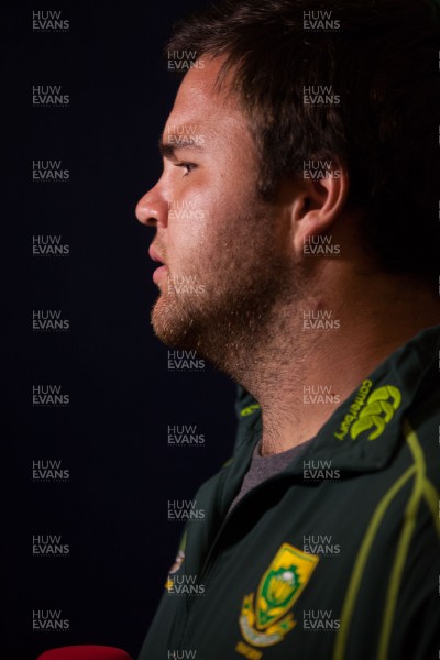 061113 - South Africa Rugby Team Announcement, Cardiff - South Africa's Frans Malberhe talks to journalists after press conference