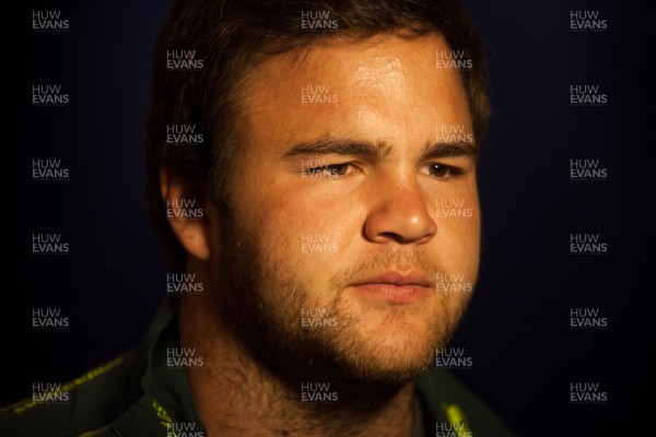 061113 - South Africa Rugby Team Announcement, Cardiff - South Africa's Frans Malberhe talks to journalists after press conference