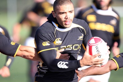 08.11.10 .. South Africa Rugby training session, Treforest -  South Africa's Bryan Habana during training session    