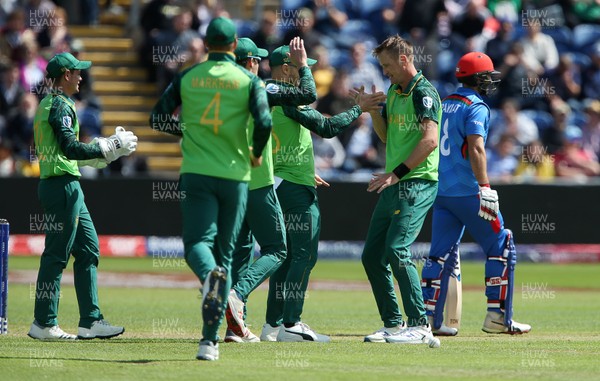 150619 - South Africa v Afghanistan - ICC Cricket World Cup 2019 - Chris Morris of South Africa celebrates with team mates after bowling Rahmat Shah for LBW