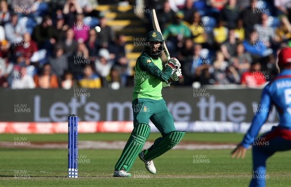 150619 - South Africa v Afghanistan - ICC Cricket World Cup 2019 - Hashim Amla of South Africa batting