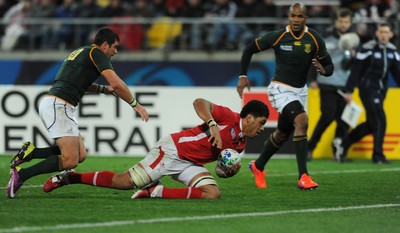11.09.11 - South Africa v Wales - Rugby World Cup 2011 - Toby Faletau of Wales dives in to score try. 
