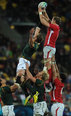 11.09.11 - South Africa v Wales - Rugby World Cup 2011 - Alun Wyn Jones of Wales. 