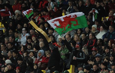 11.09.11 - South Africa v Wales - Rugby World Cup 2011 - Wales fans. 