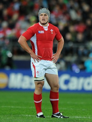 11.09.11 - South Africa v Wales - Rugby World Cup 2011 - Jonathan Davies of Wales. 