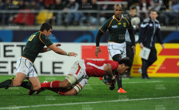 11.09.11 - South Africa v Wales - Rugby World Cup 2011 - Toby Faletau of Wales dives in to score try. 