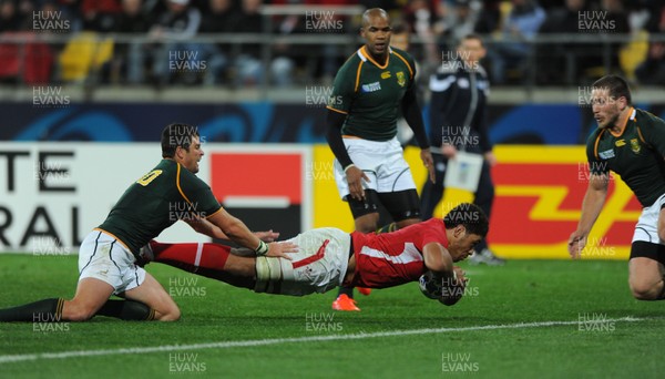 11.09.11 - South Africa v Wales - Rugby World Cup 2011 - Toby Faletau of Wales dives in to score try. 