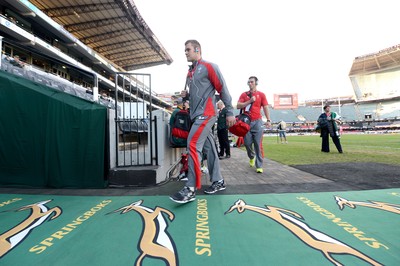 South Africa v Wales 140614