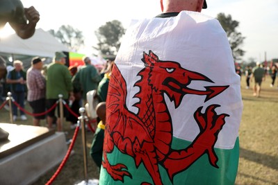 180726 - South Africa v Wales - Nations Championship - Fans outside the stadium before the game