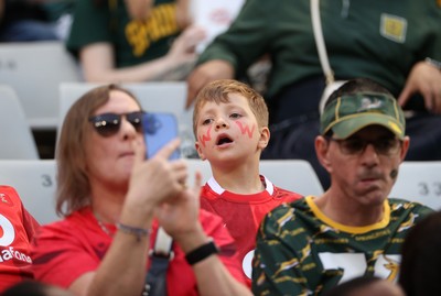 180726 - South Africa v Wales - Nations Championship - Fans