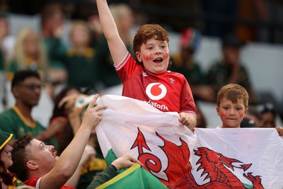 180726 - South Africa v Wales - Nations Championship - Fans