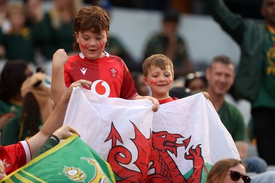 180726 - South Africa v Wales - Nations Championship - Fans