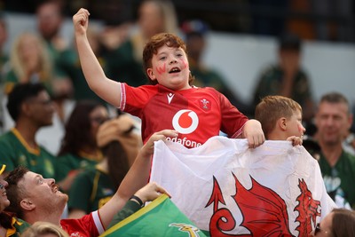 180726 - South Africa v Wales - Nations Championship - Fans