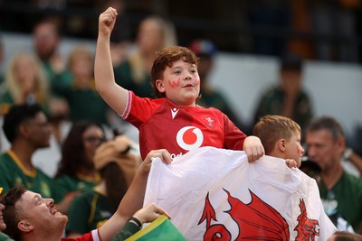 180726 - South Africa v Wales - Nations Championship - Fans